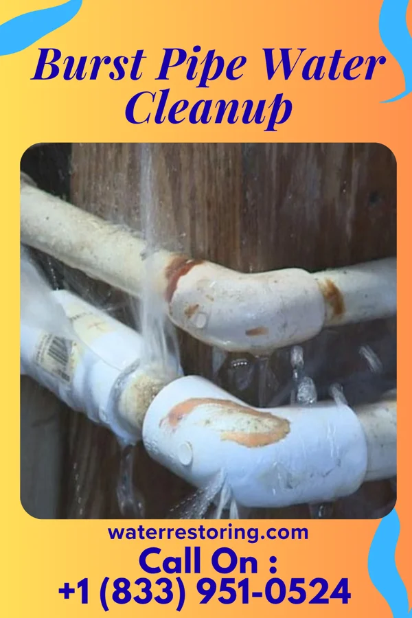 Burst Pipe Water Cleanup in East Petersburg, PA